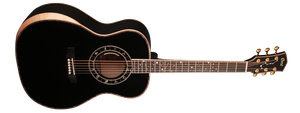 Cort Seven Stars Limited TBK Semi Acoustic Guitar with Case